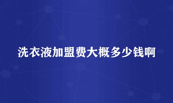 洗衣液加盟费大概多少钱啊