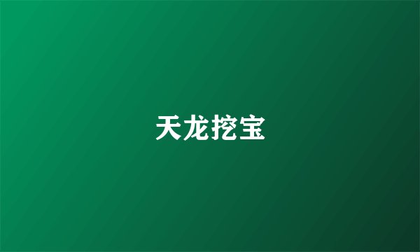 天龙挖宝