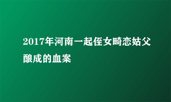 2017年河南一起侄女畸恋姑父酿成的血案