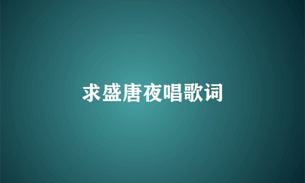 求盛唐夜唱歌词