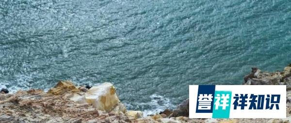 河北徐自发退出，山东段秀峰回归，铁打的格力流水的经销商？