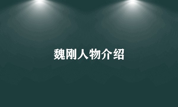 魏刚人物介绍