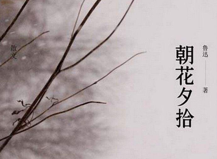 鲁迅中的哈特博士的姓怎么念怎么读音