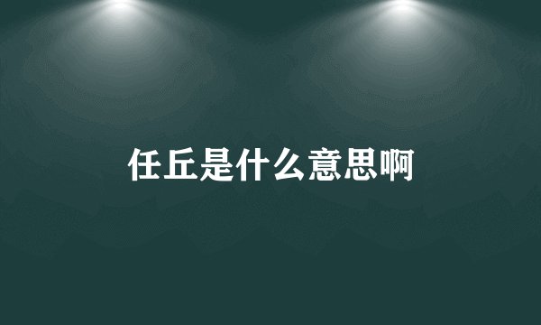 任丘是什么意思啊