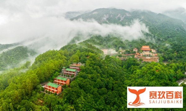 广东尴尬的5A景区，门票50，却被游客吐槽：像个森林公园