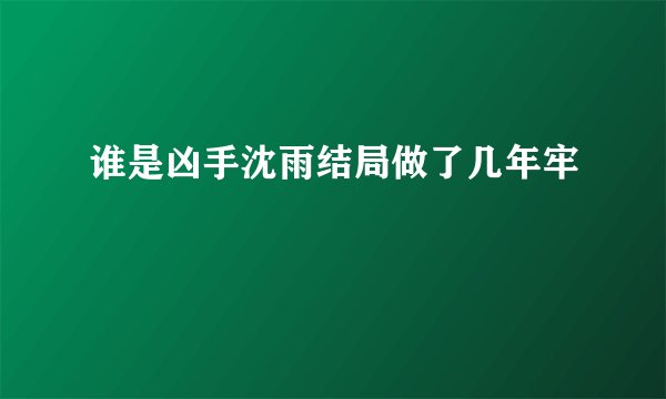 谁是凶手沈雨结局做了几年牢