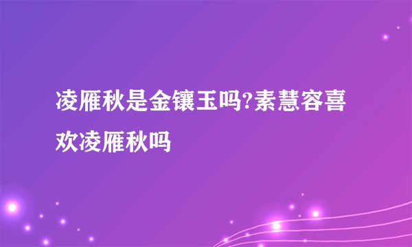 凌雁秋是金镶玉吗?素慧容喜欢凌雁秋吗