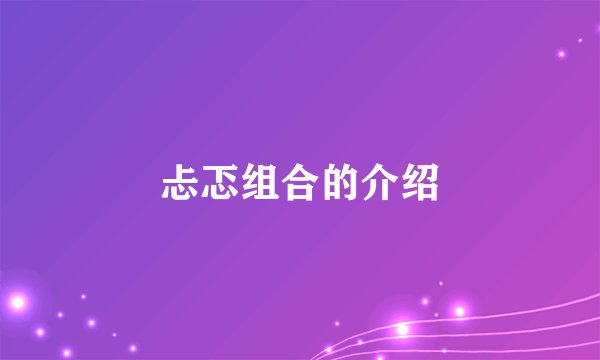 忐忑组合的介绍