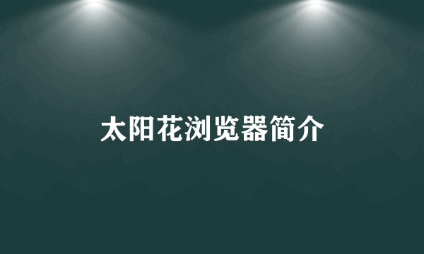 太阳花浏览器简介