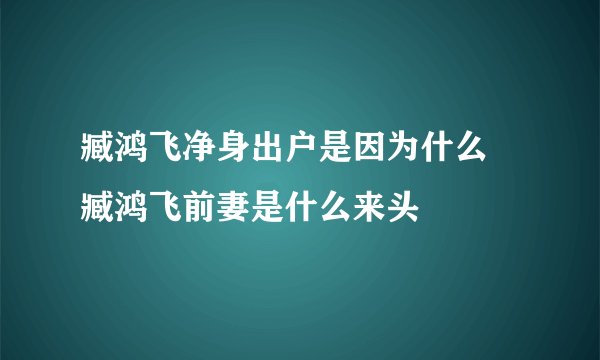 臧鸿飞净身出户是因为什么 臧鸿飞前妻是什么来头