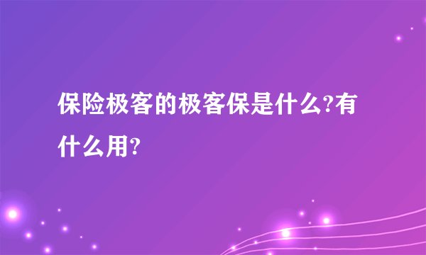 保险极客的极客保是什么?有什么用?