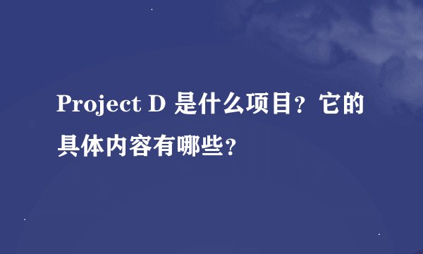 Project D 是什么项目？它的具体内容有哪些？