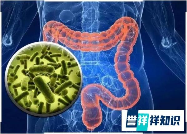为什么航天员要进行肠道清洁?曾受何种痛苦?
