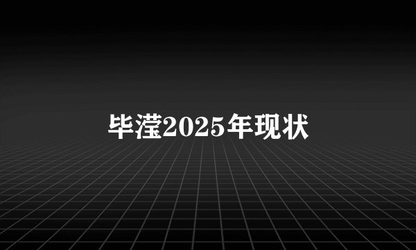 毕滢2025年现状