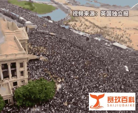 禁用化肥农药，结果这个国家上周宣布破产了