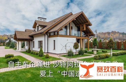 中国和沙特贸易大单,中国与沙特贸易