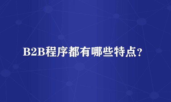 B2B程序都有哪些特点？