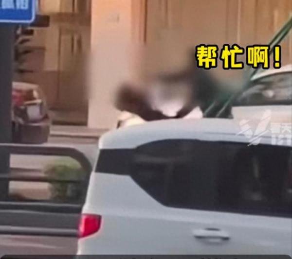 震惊！女律师被对方当事男子尾随持榔头袭击，多名路人挺身而出将男子制服