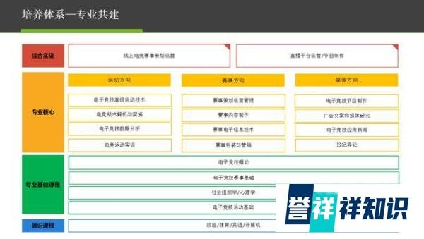 DOTA 2空袭-电竞圈，向全世界宣布：LGD是不可战胜de……
