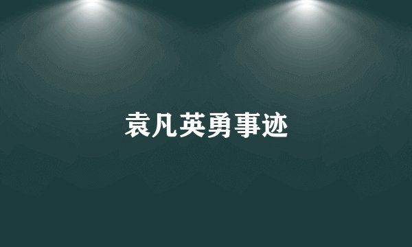 袁凡英勇事迹