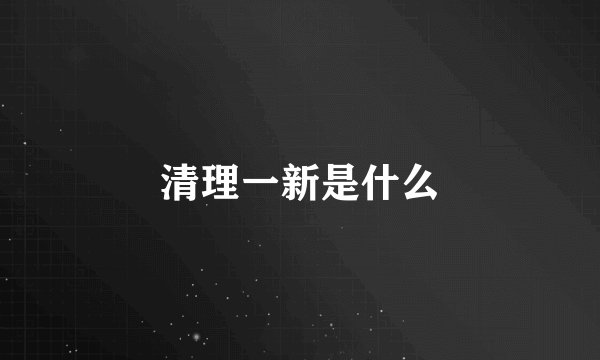 清理一新是什么