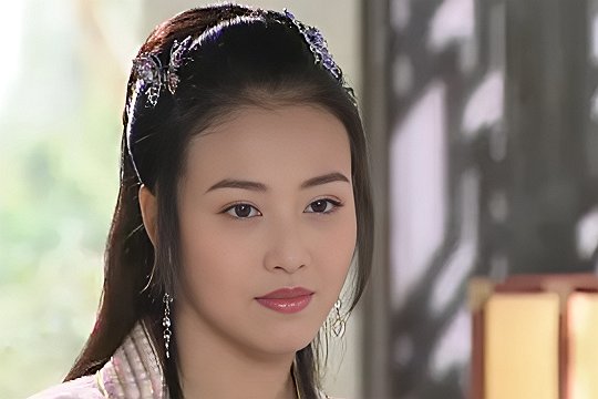 神鬼八阵图演员表介绍