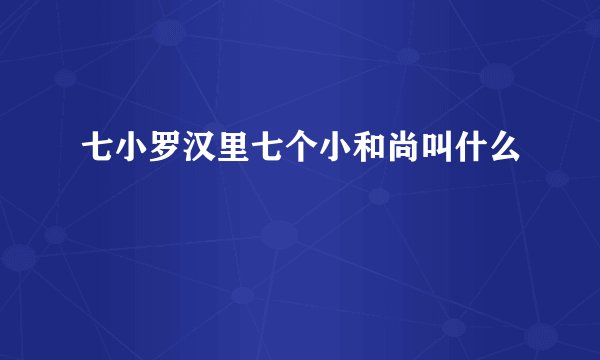 七小罗汉里七个小和尚叫什么