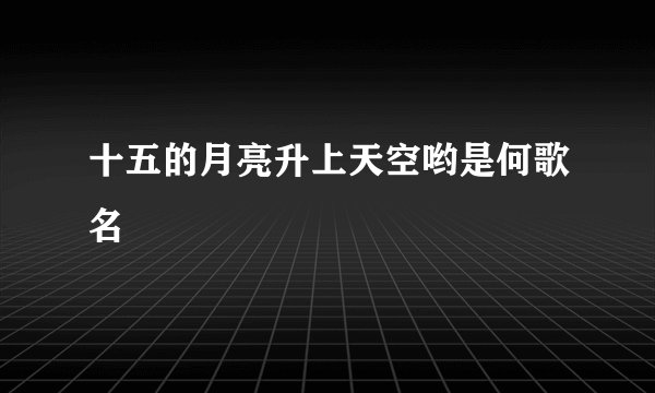 十五的月亮升上天空哟是何歌名