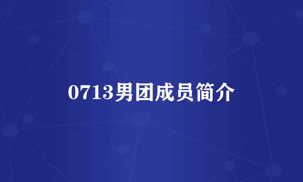 0713男团成员简介