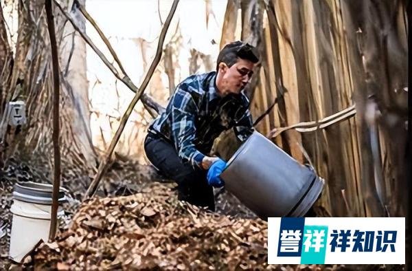 全球首家：把遗体变土壤肥料的殡仪馆，坚持可持续殡葬，太颠覆了