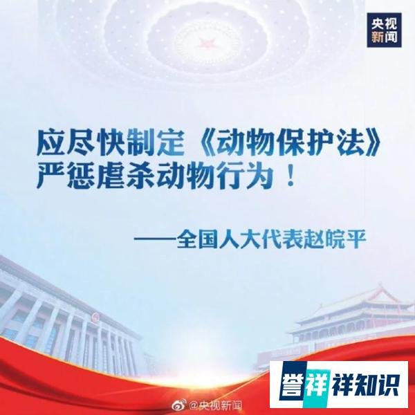 6月21日广西玉林狗肉节如期举行？国际动保组织救出10只小狗