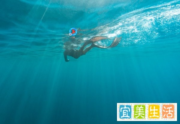 怎样从优酷网下载视频？