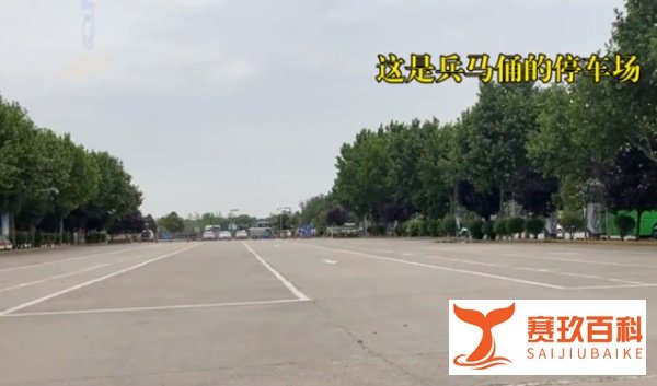 五一假第1天兵马俑景区俑比游客多 网友：都是疫情惹的祸