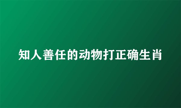 知人善任的动物打正确生肖