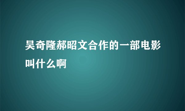 吴奇隆郝昭文合作的一部电影叫什么啊