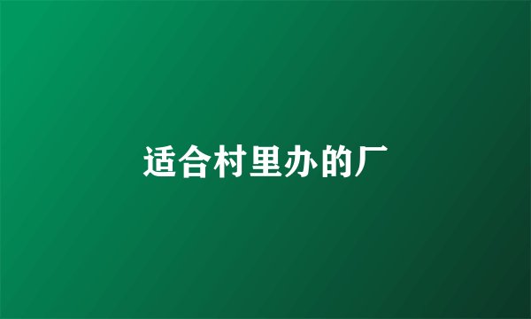 适合村里办的厂