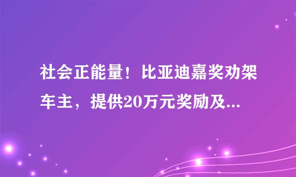 社会正能量！比亚迪嘉奖劝架车主，提供20万元奖励及终身免费维保