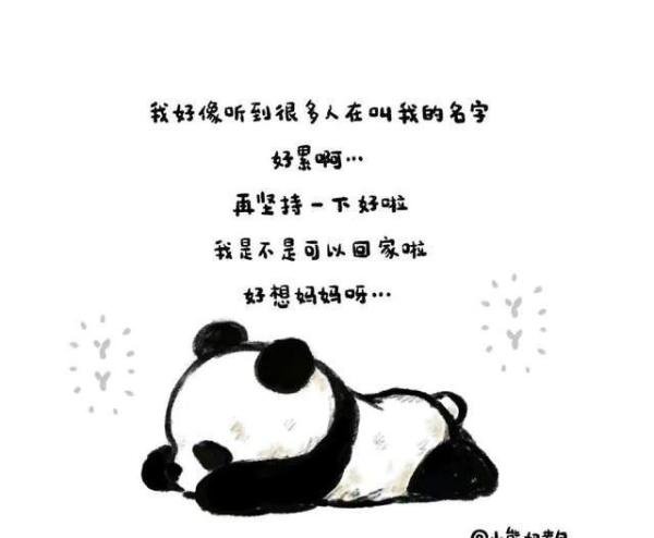 中动协回应：已派专家在美协助照料“丫丫”！我们的关注不能停止