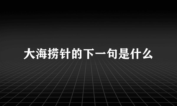大海捞针的下一句是什么