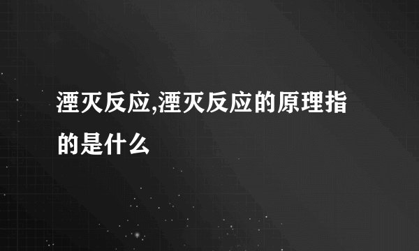 湮灭反应,湮灭反应的原理指的是什么