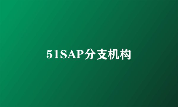 51SAP分支机构