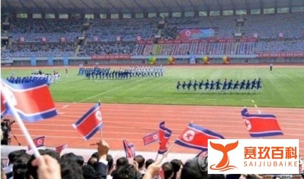 神秘之师弃赛成都世乒赛，世间难见金宋依，奥运曾战刘诗雯福原爱