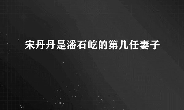 宋丹丹是潘石屹的第几任妻子