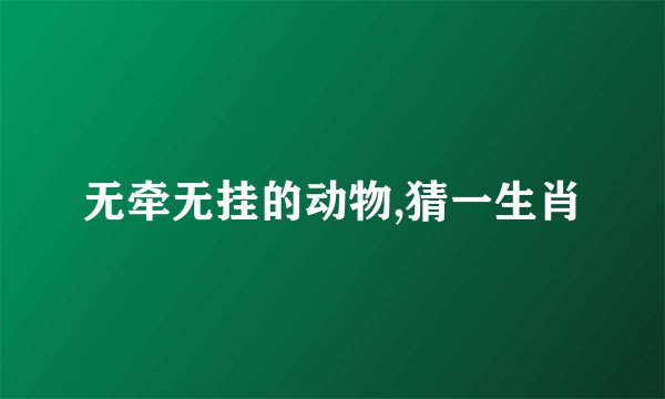 无牵无挂的动物,猜一生肖