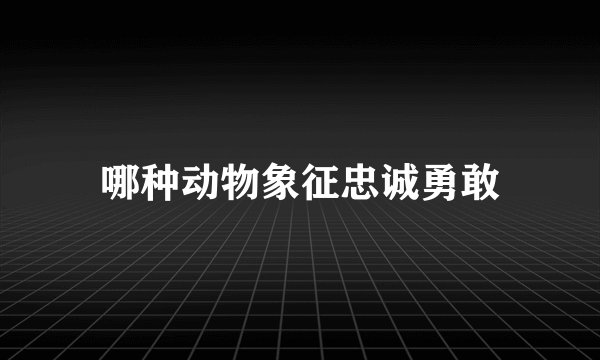 哪种动物象征忠诚勇敢