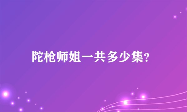 陀枪师姐一共多少集？