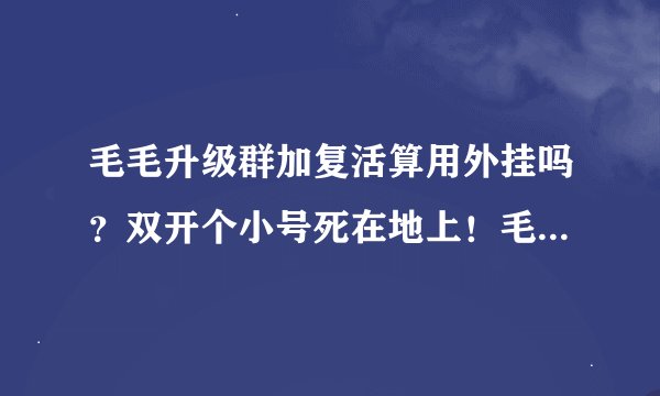 毛毛升级群加复活算用外挂吗？双开个小号死在地上！毛毛编辑连续技能