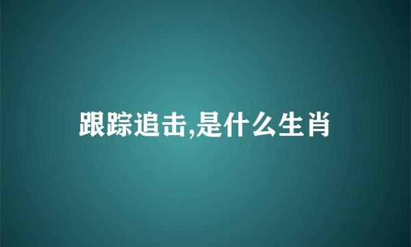 跟踪追击,是什么生肖
