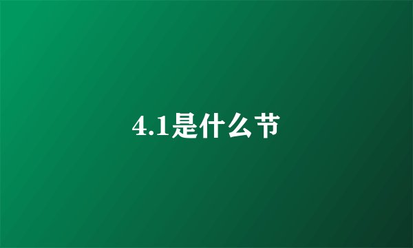 4.1是什么节
