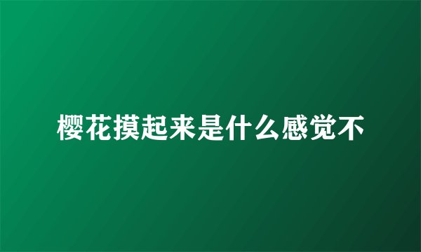 樱花摸起来是什么感觉不